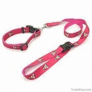Dog collar & leash