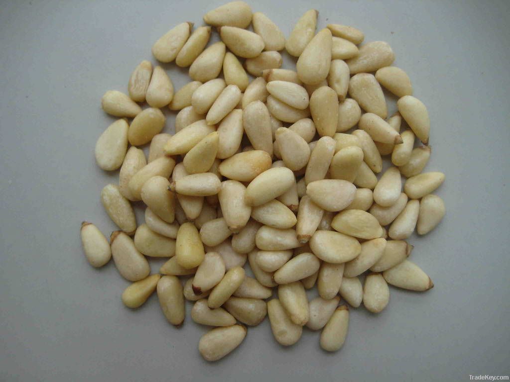 Pine Nuts