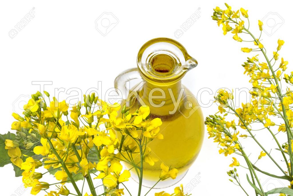 Rapeseed Oil