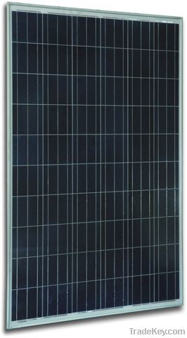6 Inch Polycrystalline Solar Panel, 225W - 255W