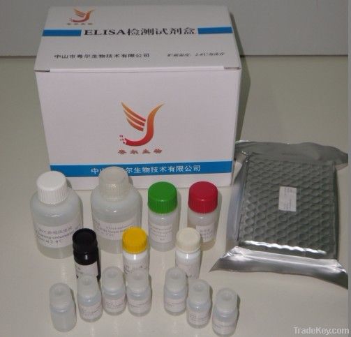 Aflatoxin B1 ELISA Kit