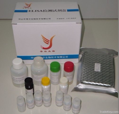 Nitrofuran (SEM) ELISA Test Kit