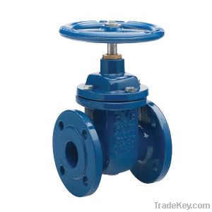 Non rising stem and resilient soft seated DI gate valve ANSI 125/150