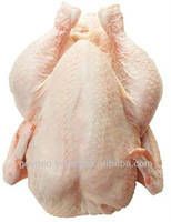 WHOLE FROZEN CHICKEN