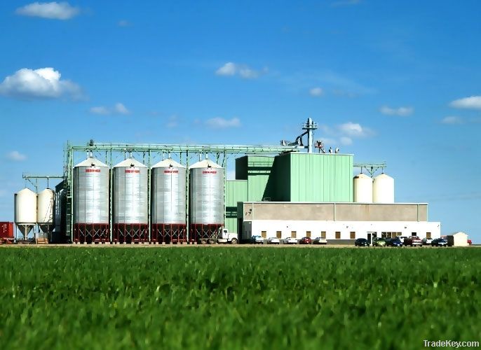 Manual & Automatic Lentils Processing Plant