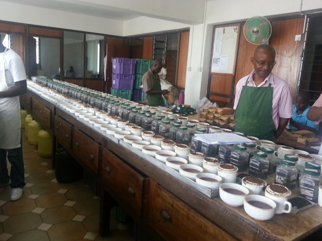 Kenya black ctc tea grade 'A'