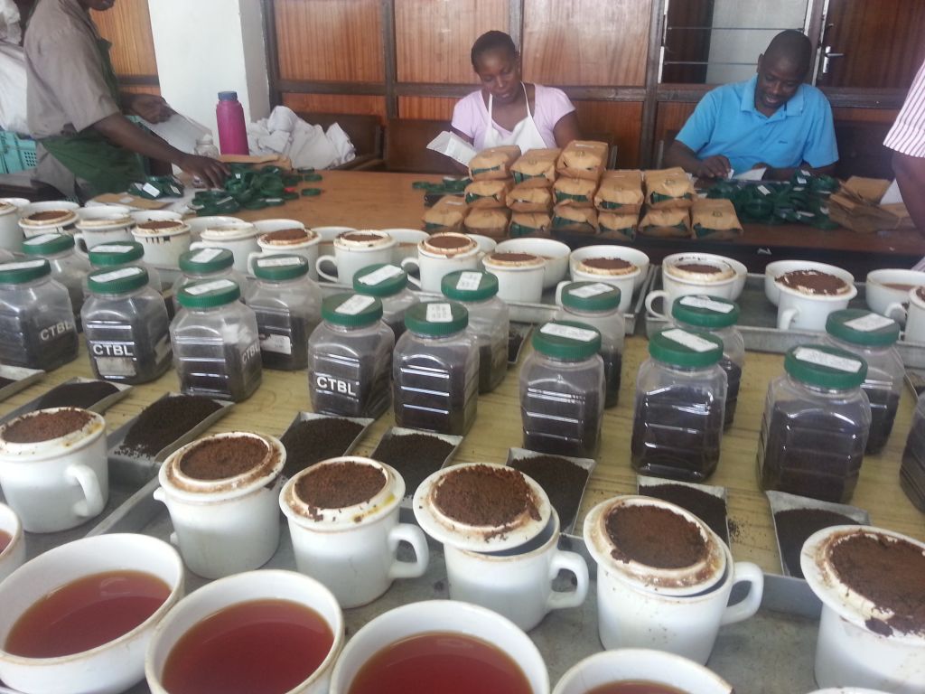 Kenya ctc black tea  grade A