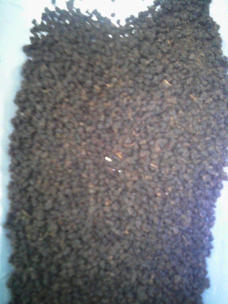 Kenya ctc black tea  grade A