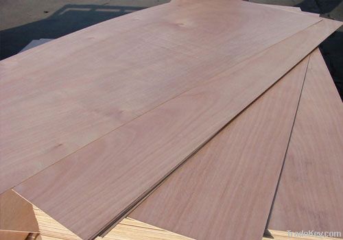 mersawa plywood