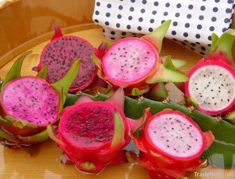 Fresh Pitaya / Fresh Dragon