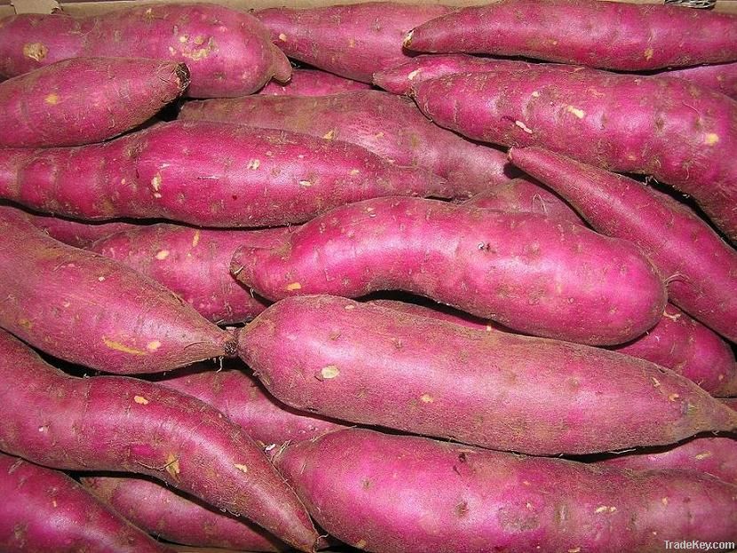 Sweet potato