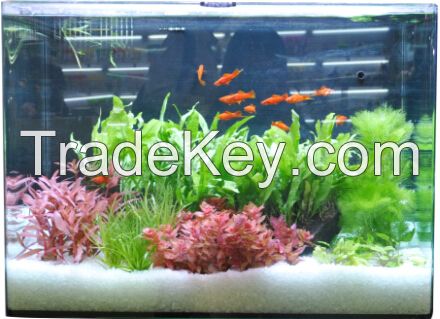Colorful LED aquarium light for arowana parrot carp and other kinds of fish tank