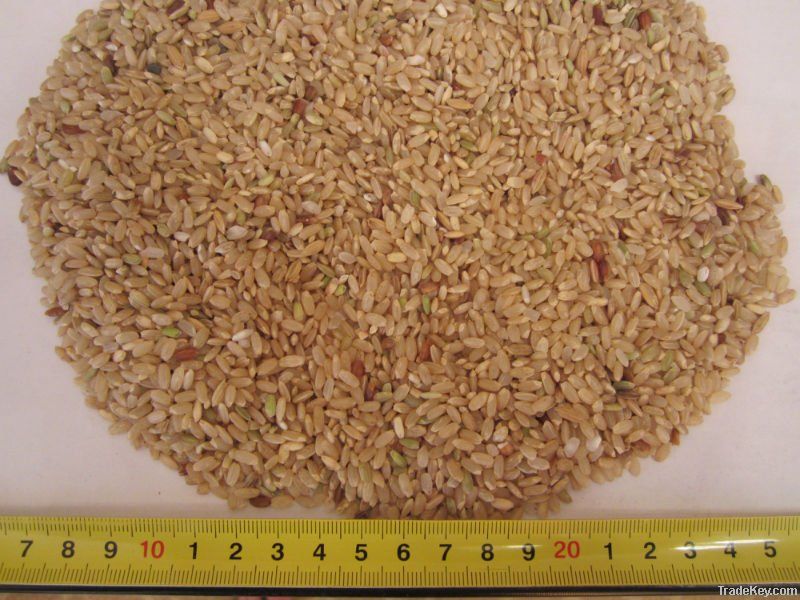 короткие зерна риса импортеры, короткие зерна покупатели рис, короткие зерна импортером риса, купить короткий зерна риса, rice