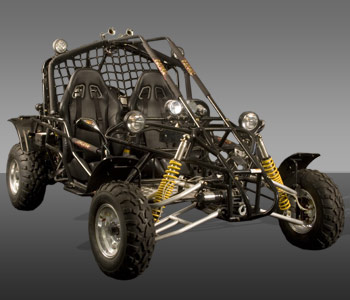 Go Carts Dune Buggy Kids to Adults