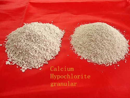 calcium hypochlorite 70