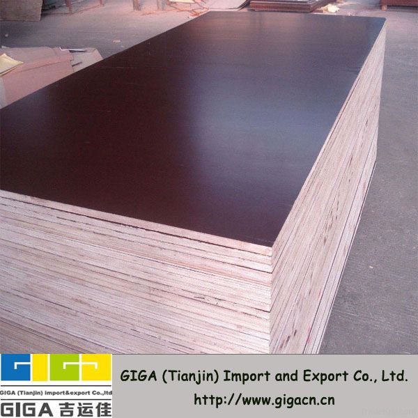 GIGA 18mm filmfaced plywood sheet