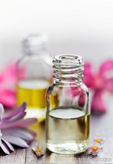 Essential Oils & Fragrances