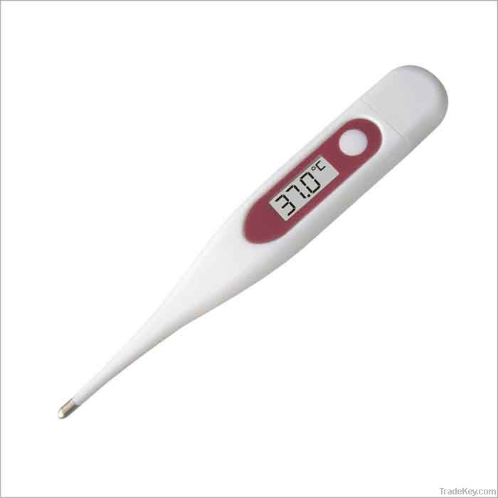 Digital Thermometer