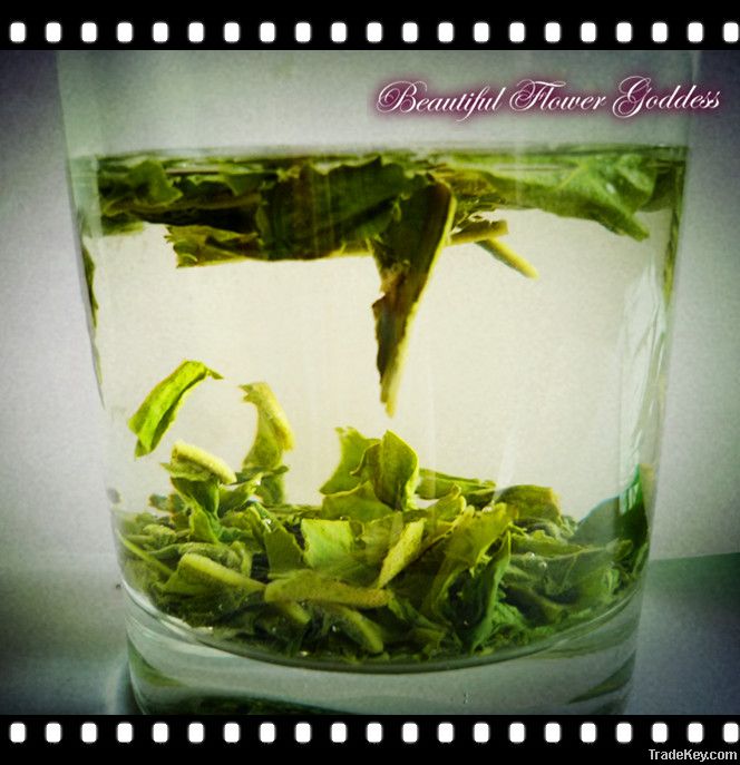 magic green Chinese lotus leaf tea lose weight