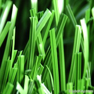 Double-stem soccer grass