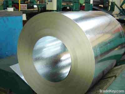 Galvanized Steel coil