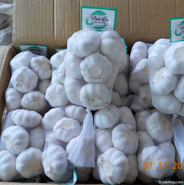Chinese  fresh garlic supplier