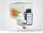 Lifechem - Glycosylated A1C