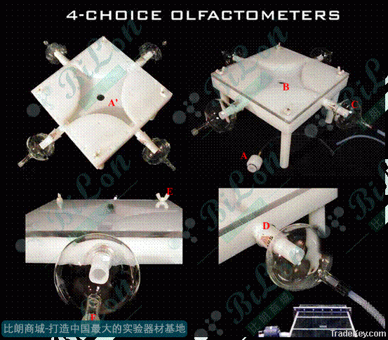 Insect olfactometer