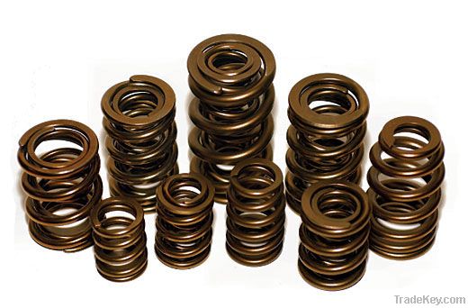 Valve Springs