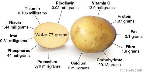 2012 fresh sweet frozen holland potato atlantic potato