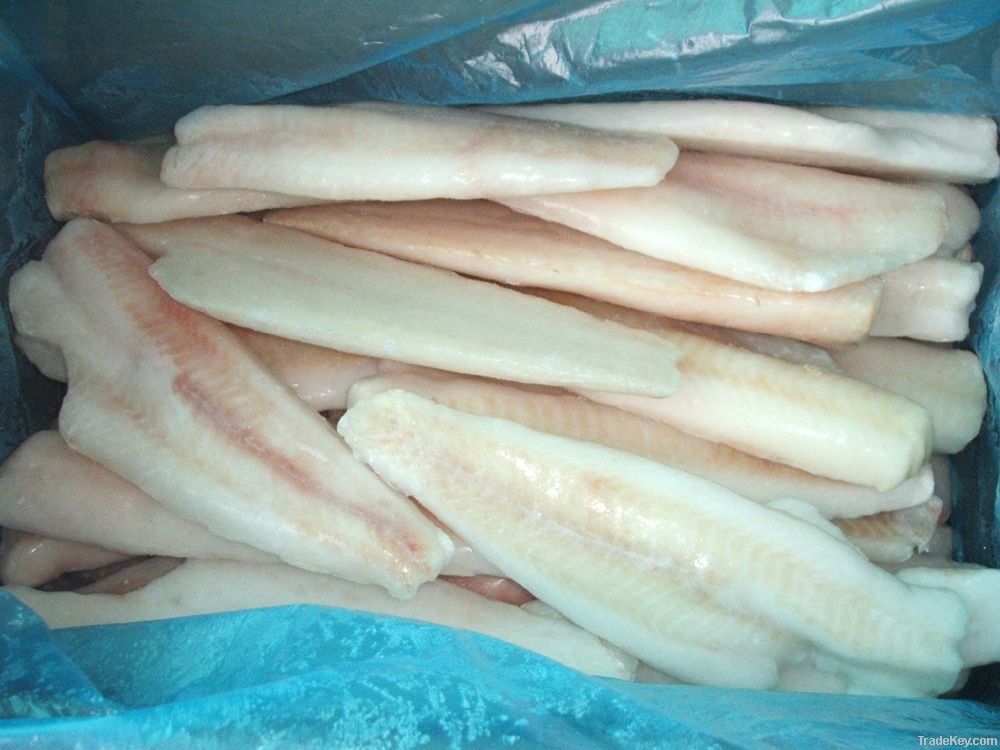 Frozen Pollock Fillets