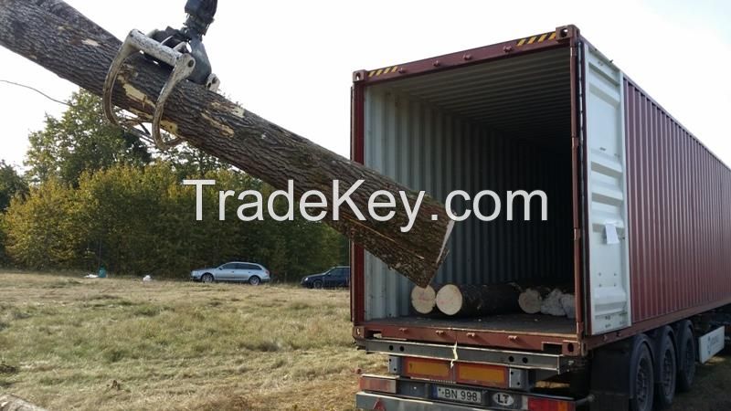 Southern Yellow Pine Logs 20 cm and up, 25 cm and up