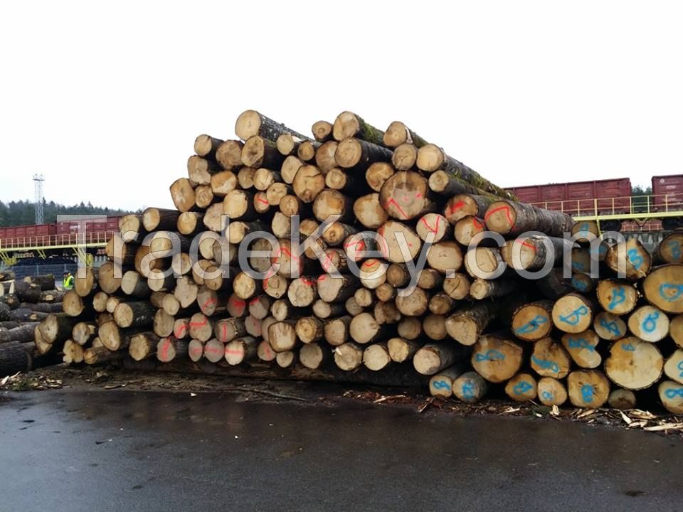 Southern Yellow Pine Logs 20 cm and up, 25 cm and up