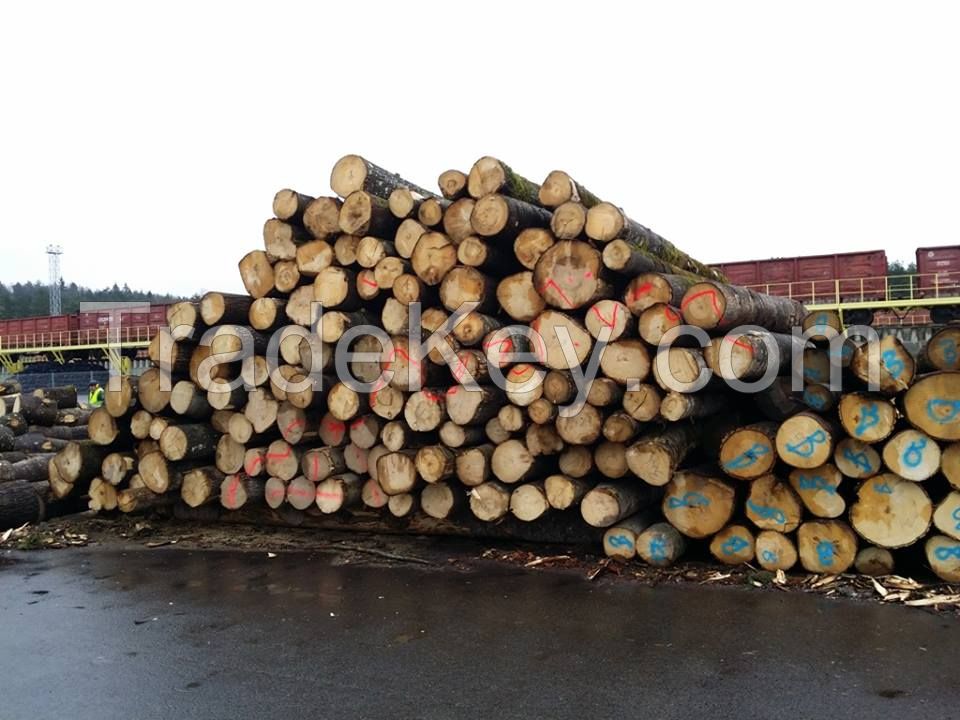 We offer Radiata Pine Logs 18+ cm