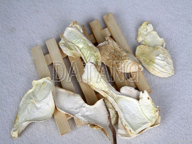 King oyster mushroom / King trumpet mushroom/ Eryngii mushroom