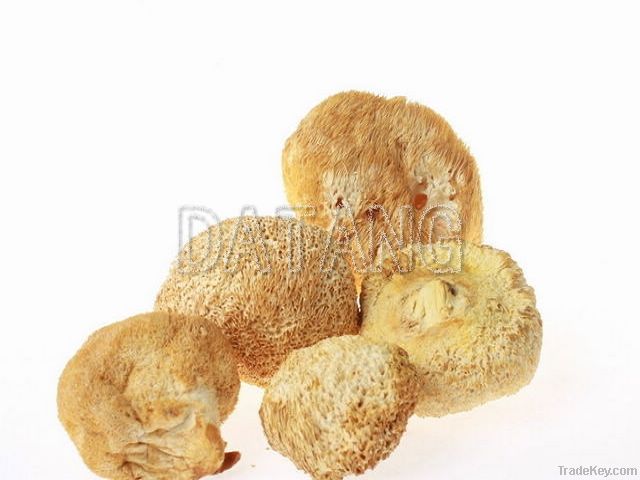 Monkey head mushroom
