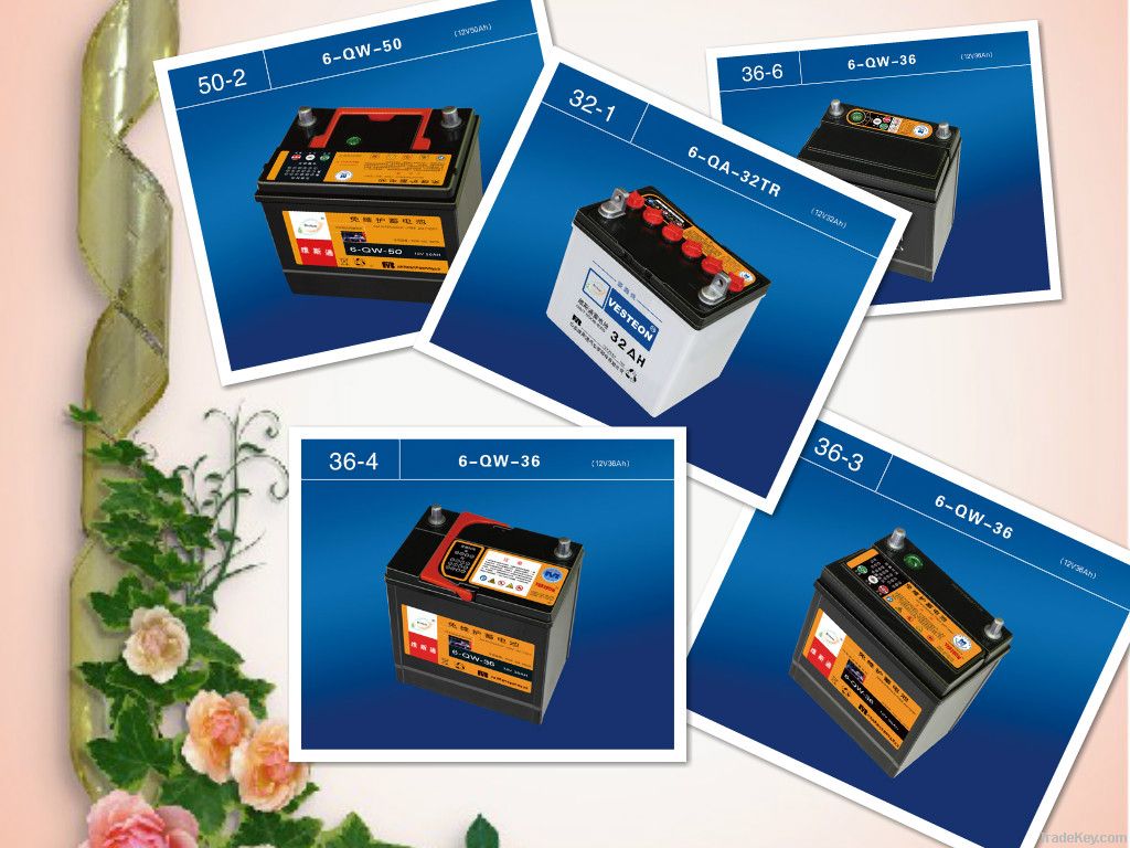 high quality dry charged car battery