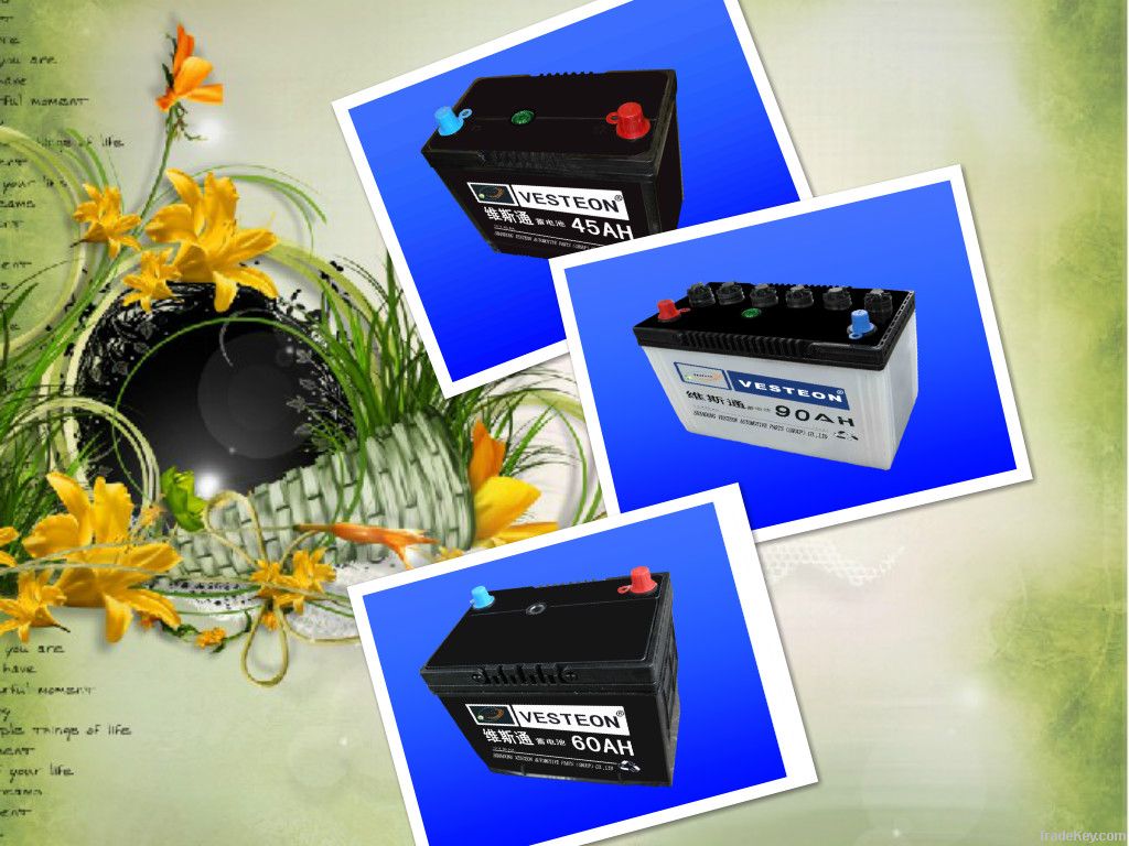 high quality dry charged car battery