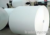 food grade pe coated paper cup paper