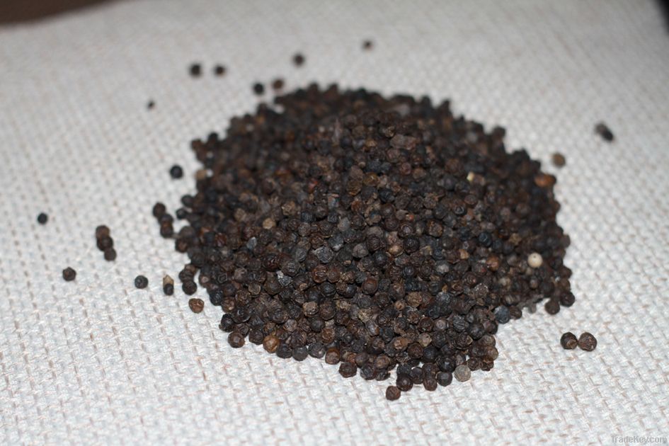 Black Pepper