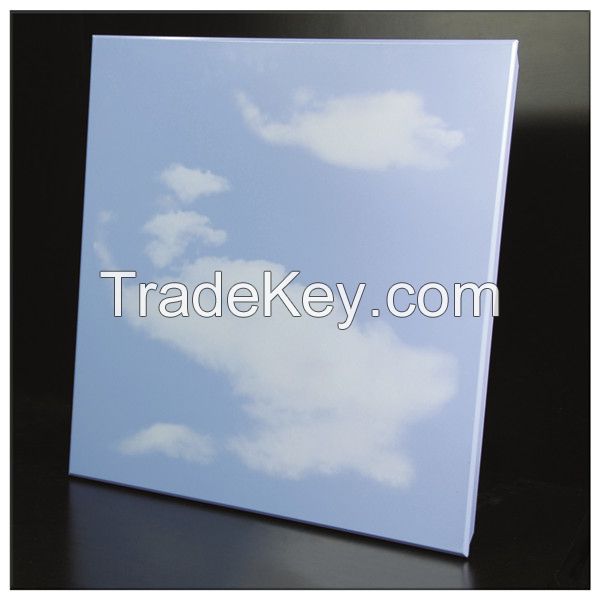 600*600mm False Aluminum Ceiling Tiles for Interior Decoration