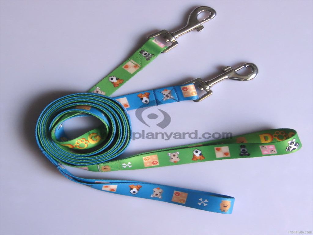 Top design collars and leashes