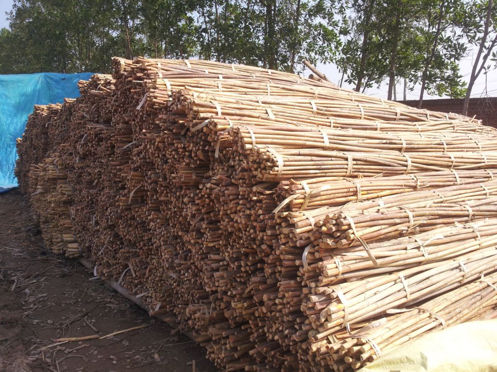 Rattan material in Vietnam cheaper China , Philippines