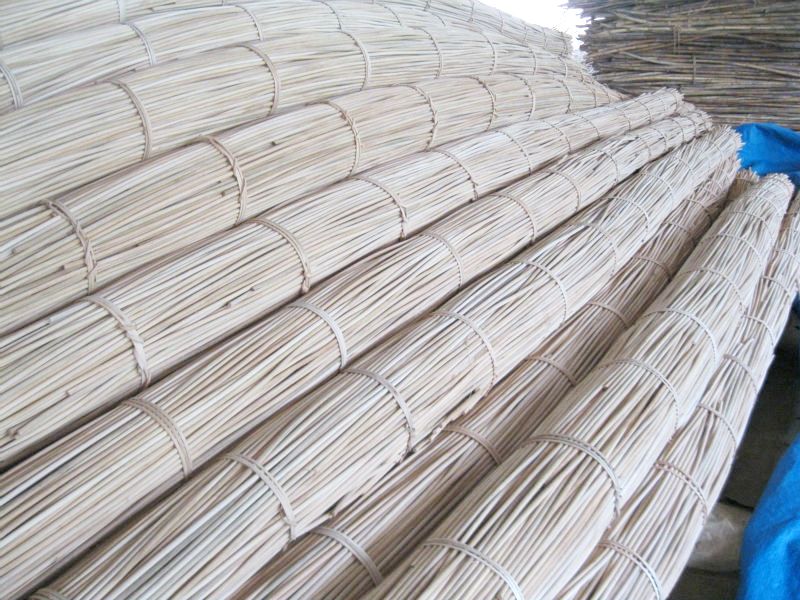 Rattan raw material in Vietnam cheaper China Singapore