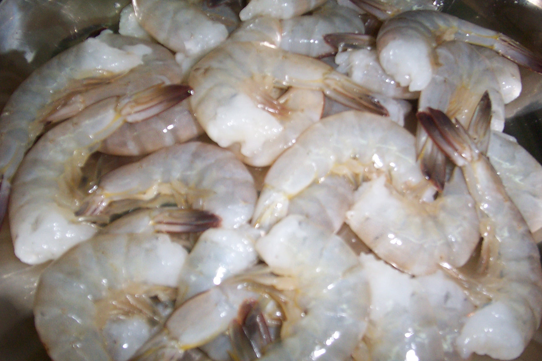 Frozen Vannamei Shrimp