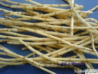 Cogongrass rhizome extracts