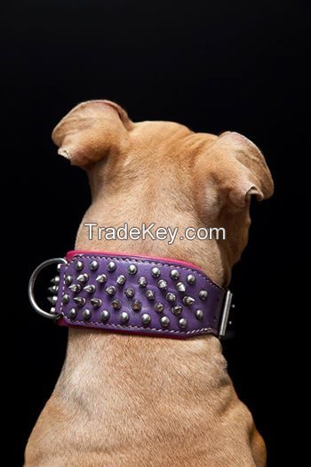 Dog collar made of Leather