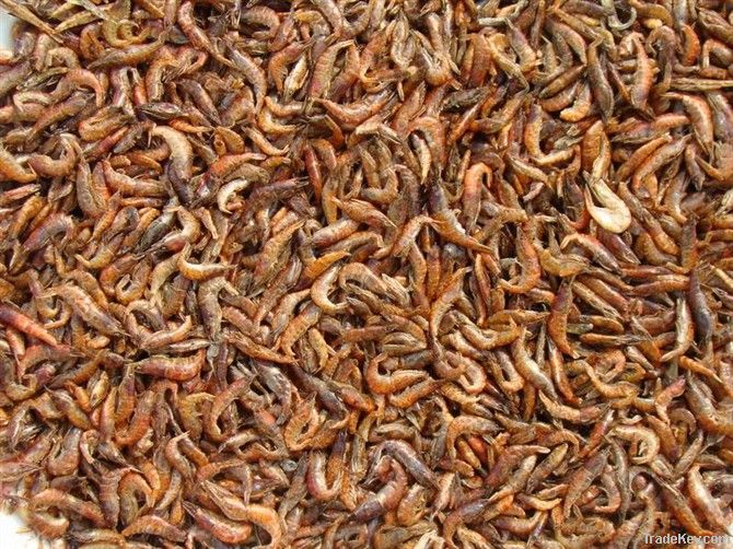 sun dried shrimp