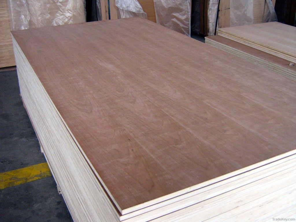 okoume/bintangor plywood linyi China