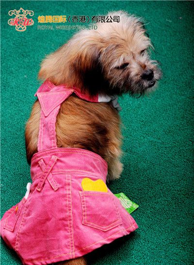Hot Selling Pink Dog Clothes, Pink Jeans Pet Skirt